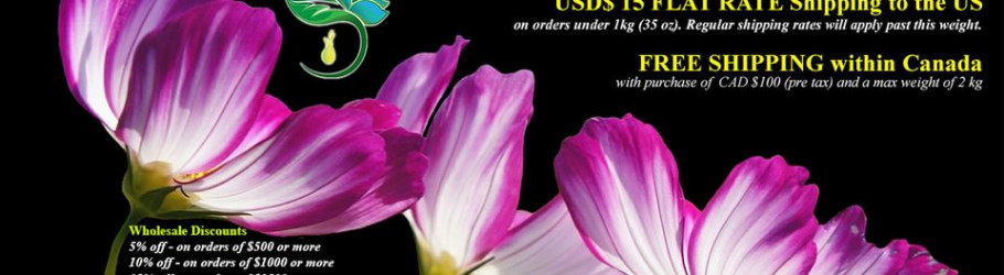 Aromaticscanadainc