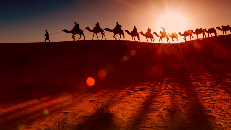 A Comprehensive Guide to Select the Best Taxi Service in Rajasthan