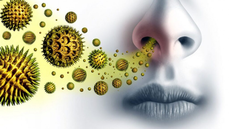 Managing Seasonal Allergies: Tips from a Ventura ENT Specialist
