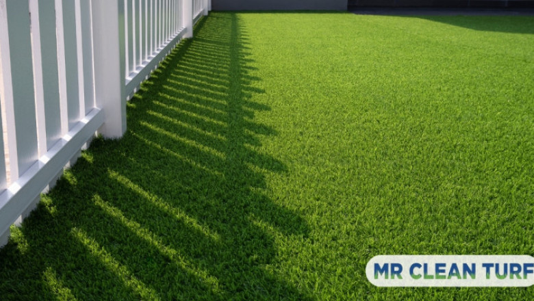 Phoenix Heat-Proof Turf Guide | Survive Summer with a Lush Lawn