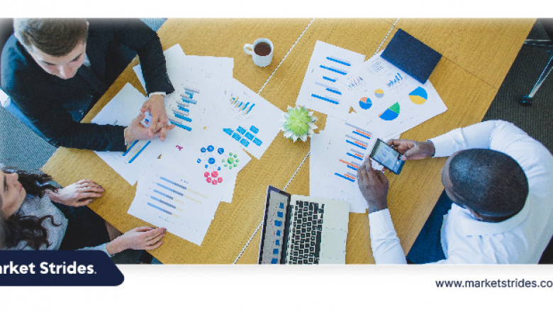 Conveyer Belt Market Business Insights: Market Size and Growth Potential
