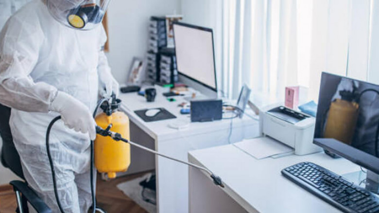 Eco-Friendly Pest Control in the USA
