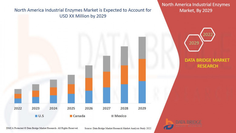 Booming Biocatalysts: North America’s Industrial Enzymes Market Set for Robust Growth