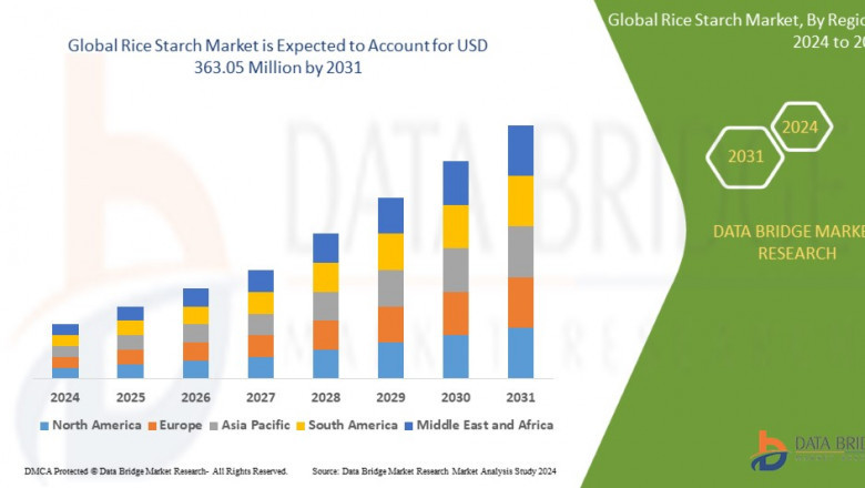 Rice Starch Market: Fueling Demand with Clean Label and Functional Food Trends in 2025