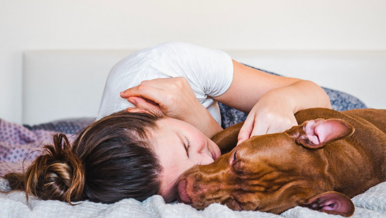 Does Your Pet’s Spine Condition Call for Euthanasia?