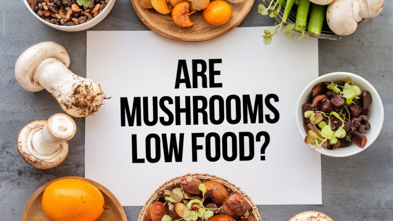 Are Canned Mushrooms Low FODMAP? What You Need to Know
