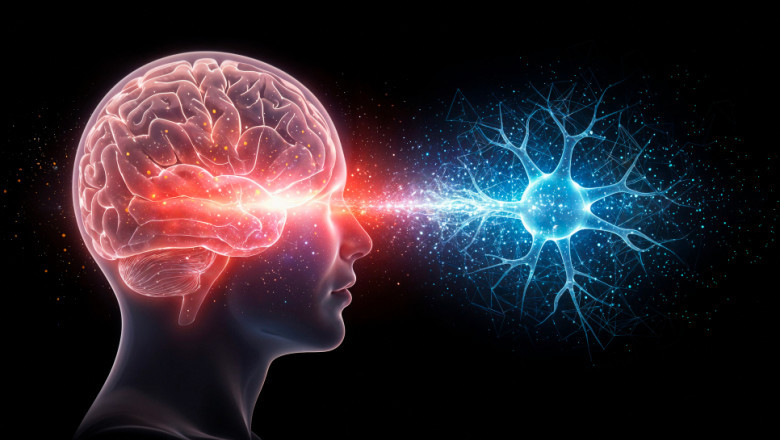 Roche's TNKase: A New Era for Acute Ischemic Stroke Treatment