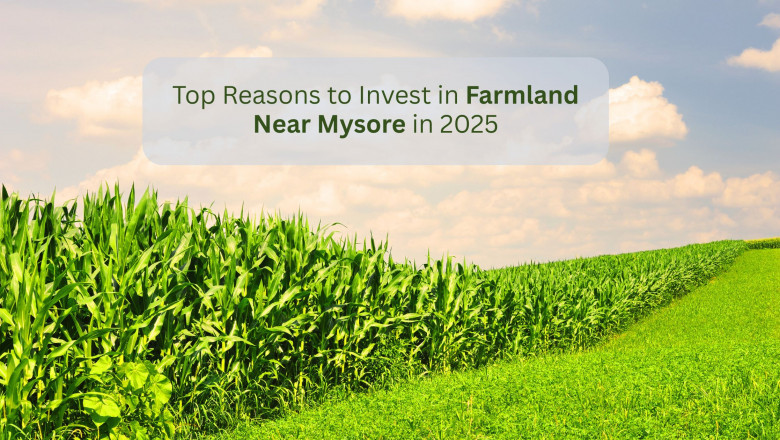 Top Reasons to Invest in Farmland Near Mysore in 2025