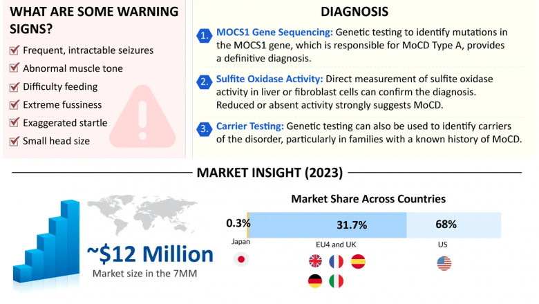 The Future of MoCoD-A Treatment: Gene Therapy and Beyond