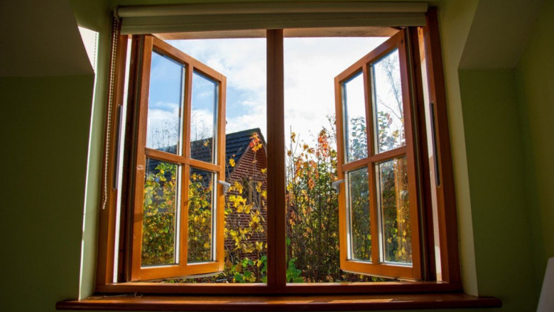 Window