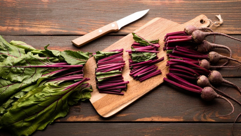 Exploring the Plan for Chicory Processing Plant Project: Detailed Report by IMARC Group