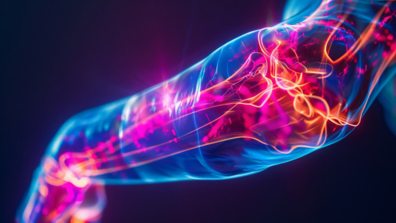 Global Advancements in Peripheral Nerve Regeneration: Market Trends and Innovations