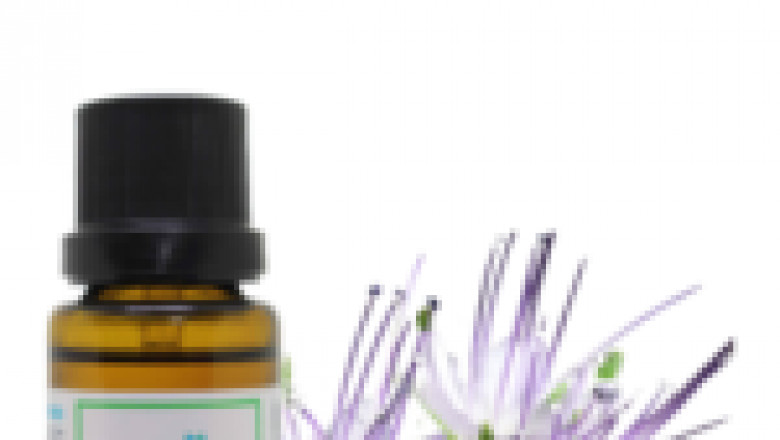 Tansy Blue Essential Oil for Skin & Aromatherapy