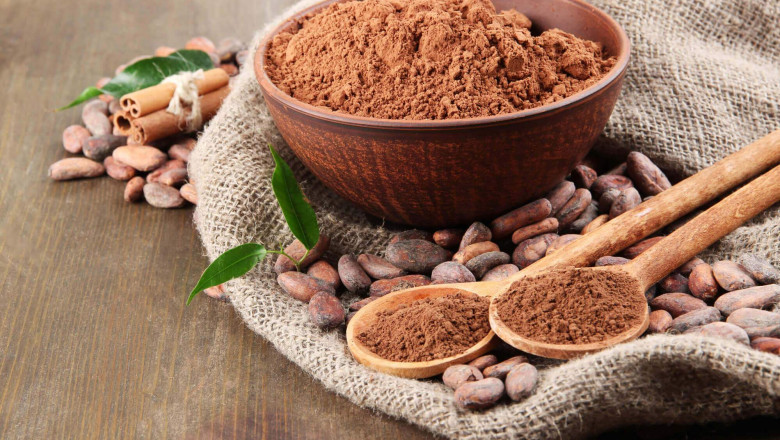 Cacao Powder Manufacturing Plant Cost 2025: Machinery Requirement, and Profit Margin