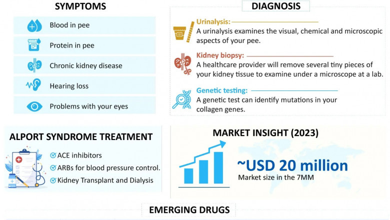 Alport Syndrome Overview