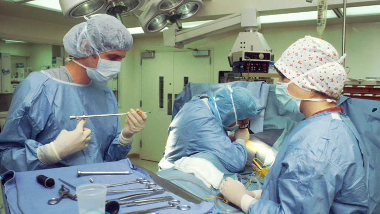 The Pros and Cons of Buying vs. Starting a Veterinary Clinic