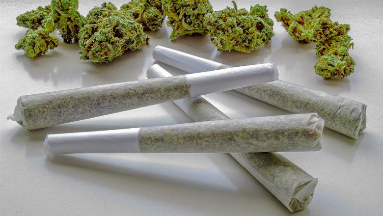 Pre-Rolled Joints vs. Blunts vs. Vape Pens: Which Is Right for You?