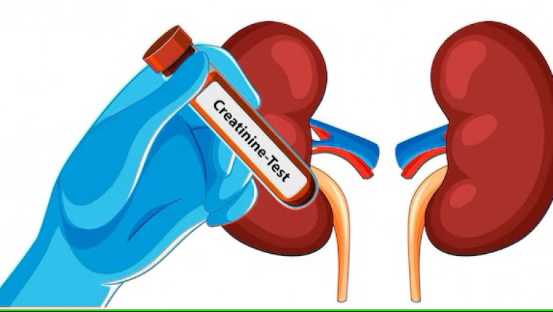 Exploring Ayurvedic Treatment for Kidney Creatinine: Ancient Remedies for Kidney Health