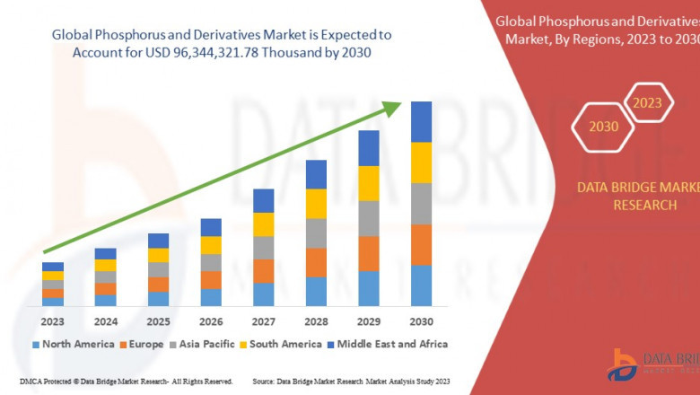 Phosphorus and Derivatives Market: Trends and Growth Opportunities