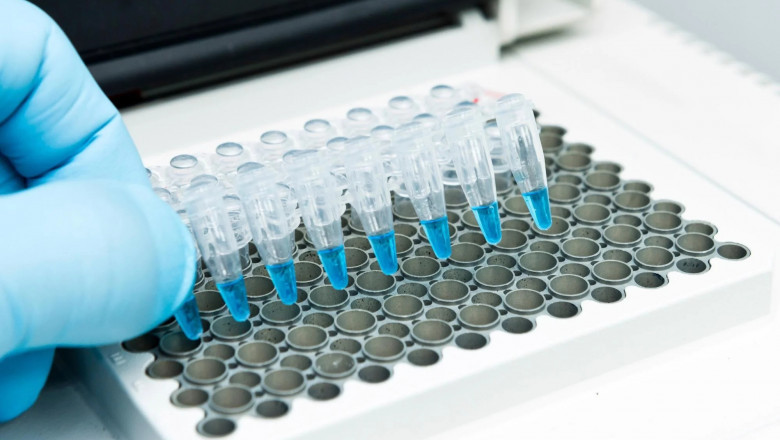 Minimal Residual Disease Testing Market to Surge with Next-Generation Sequencing