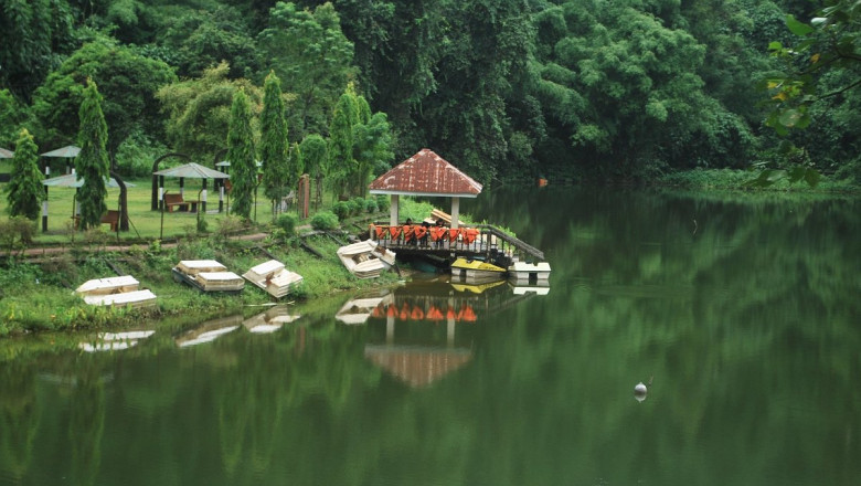 Namdapha National Park: A Hidden Gem of Northeast India