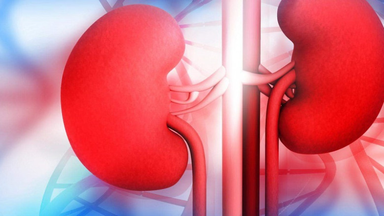 Exploring Kidney Disease Ayurvedic Treatment: Ancient Solutions for Modern Problems- Aksa Ayurveda