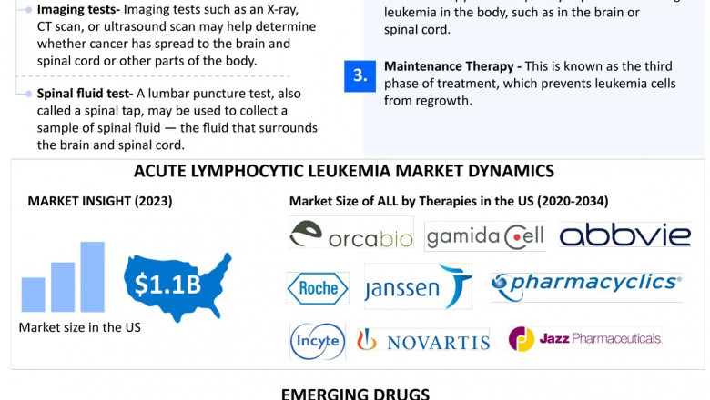 Acute Lymphocytic Leukemia (ALL)