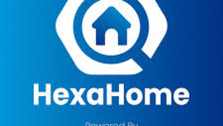 Comparison Guide: PG Properties vs. Rental Flats