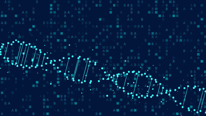 Optical Genome Mapping Market Soars With High-Resolution Imaging