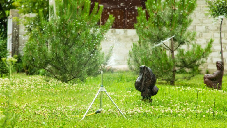 Why So Many Homeowners Trust Quality Green for Lawn Care