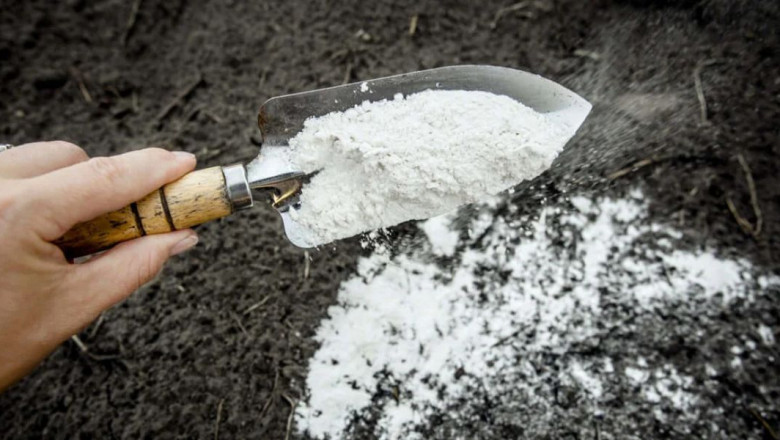 How Calcium Carbonate Helps Neutralize Polluted Soils and Waters