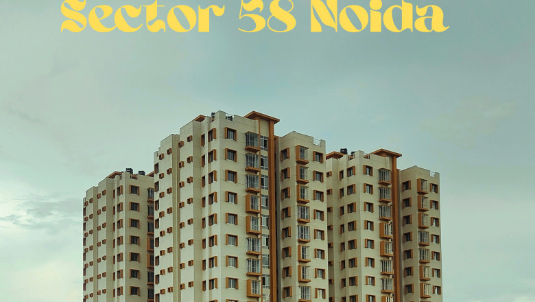 Real Estate Trends Near Sector 58, Noida in 2025