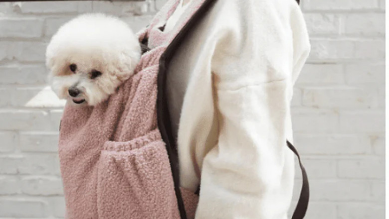 Discover the Convenience of Using a Dog Carrier Purse