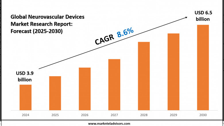Neurovascular Devices Market Overview 2025–2030: Demand & Future Trends