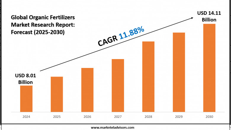 Organic Fertilizers Market Overview 2025–2030: Demand & Future Trends