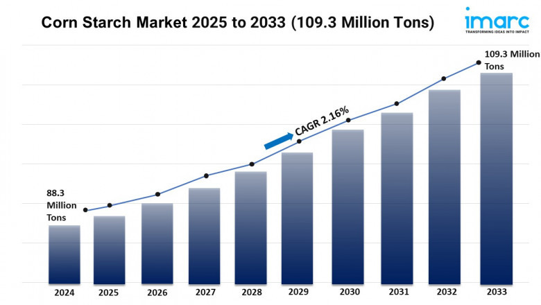 Corn Starch Market Share, Growth, and Trends Report 2025-2033