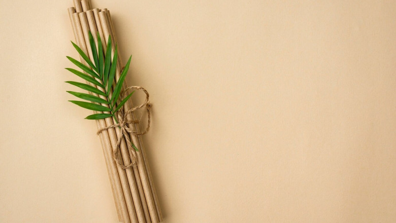 Dry Coconut Leaves Based Biodegradable Straw Manufacturing Plant Report 2025- Setup Details and Machinery Requirements