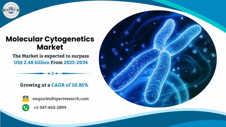 Molecular Cytogenetics Market Overview, Trends and Growth Analysis 2034