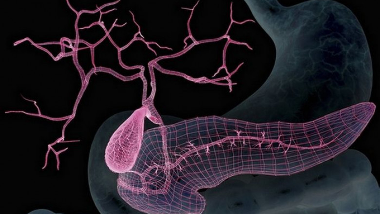 North America and Europe Artificial Pancreas Market to Surge with Closed-Loop Technology