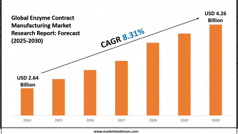 Enzyme Contract Manufacturing Market Report: Business Growth, Challenges &amp; Solutions