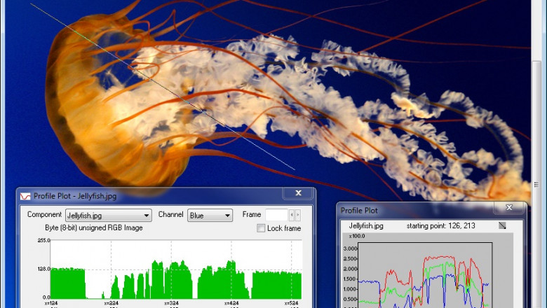 Revealing the Truth: Forensic Video Enhancement and the Power of Video Deblurring Software