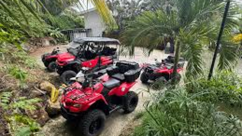 Unleash the Next Level of Exploration: Conquer Santa Teresa’s Wild Side on Four Wheels