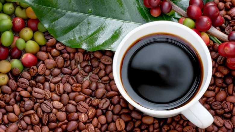 Organic Coffee Manufacturing Plant Machinery Cost 2025: Detailed Project Report, and Manufacturing Process