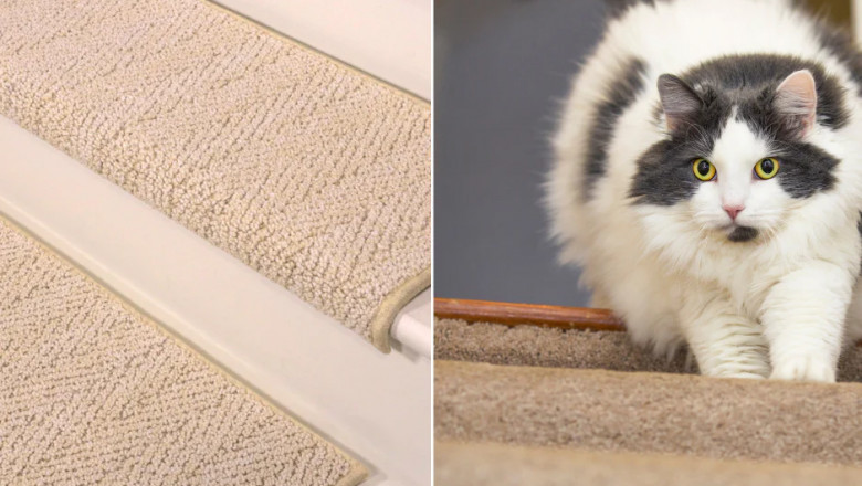 Cat Scratching Mat: The Ideal Claw Solution for USA Indoor Cats