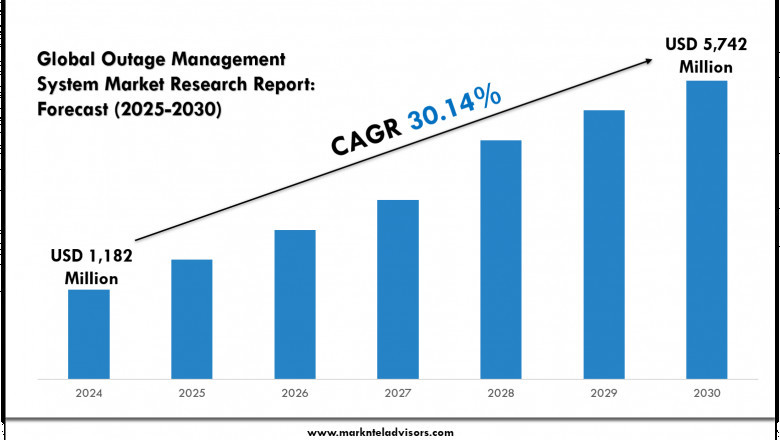 Outage Management System Market Size &amp; Competitive Landscape